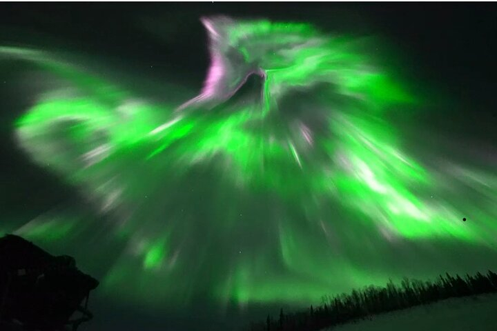1 Day Shared Tour Arctic Circle and Aurora Viewing in Alaska jCENq8IX