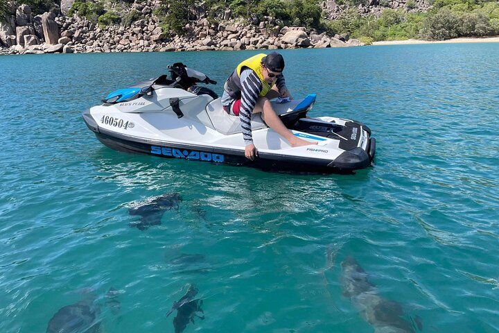 Snorkeling Jet Ski Tour to Magnetic Island QCEvWex1