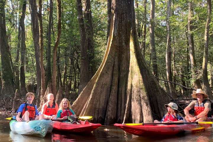 Guided Congaree National Park Kayak Tour xprAJc1Z