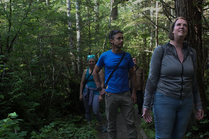 Guided Wilderness Mindfulness Experience with Nature Meditation yrgtKQc0