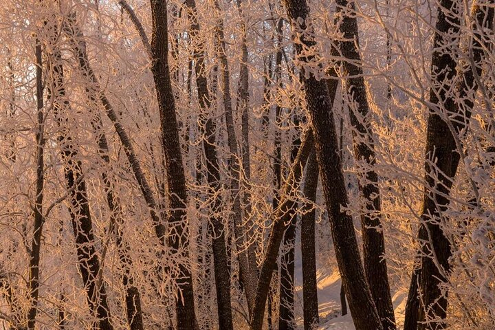Anchorage Winter Wonderland Photo Tour IBzmAWrV