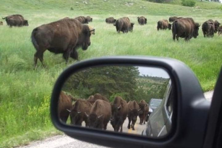 Private Mt Rushmore, Crazy Horse, Custer State Park Monument Tour OsL3mxTB