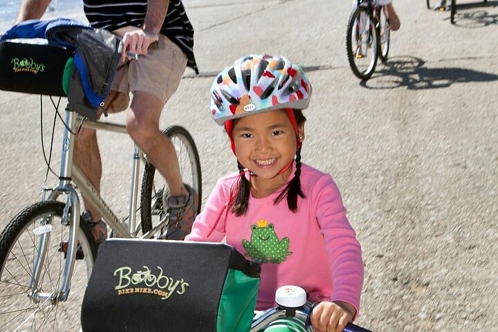 Chicago Half-Day Bike Rental Si01nIMo