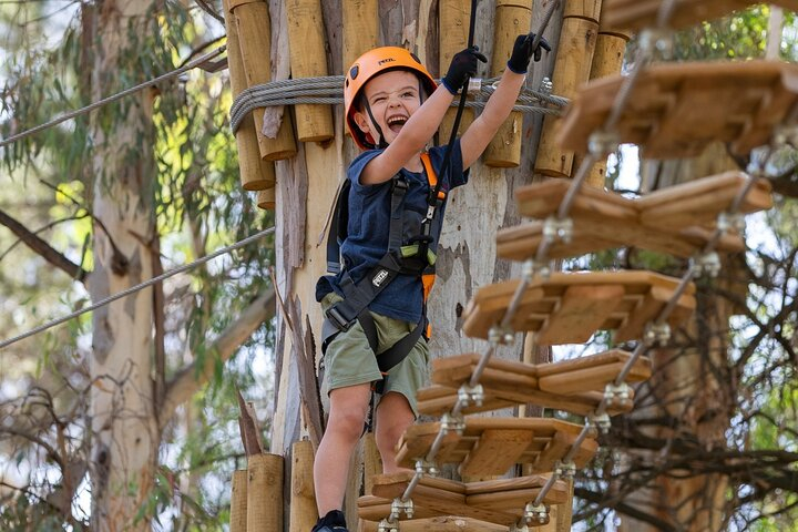 Aerial Fun & Ziplining for Our Littlest Adventurers in Salisbury UMKZDzhy