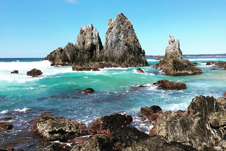 South Coast Nature Tour P19PJyc4