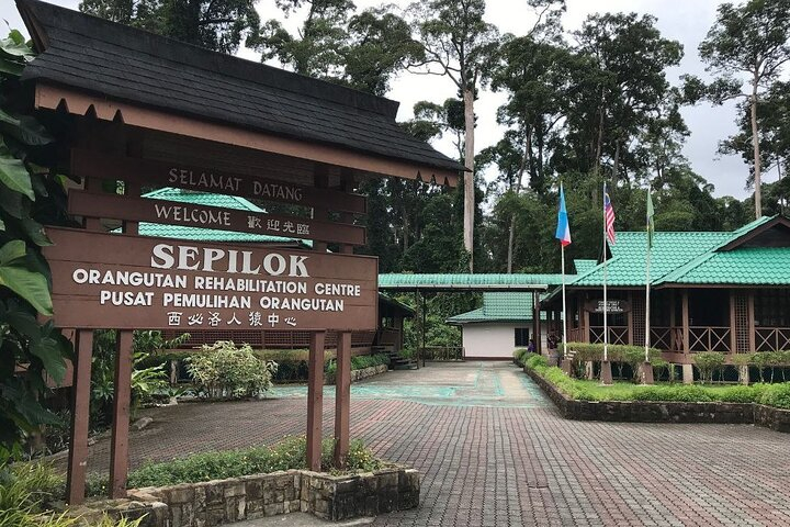 3D2N Jungle Wildlife Adventure in Sandakan (Full Board) eUR21b3P
