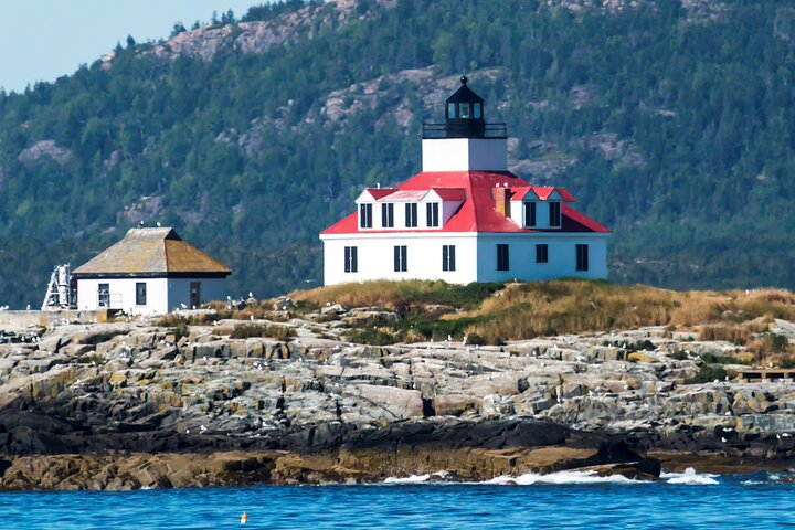 “Classic Acadia” Private Tour: Cadillac Mountain & Thunder Hole  0pkEWggZ