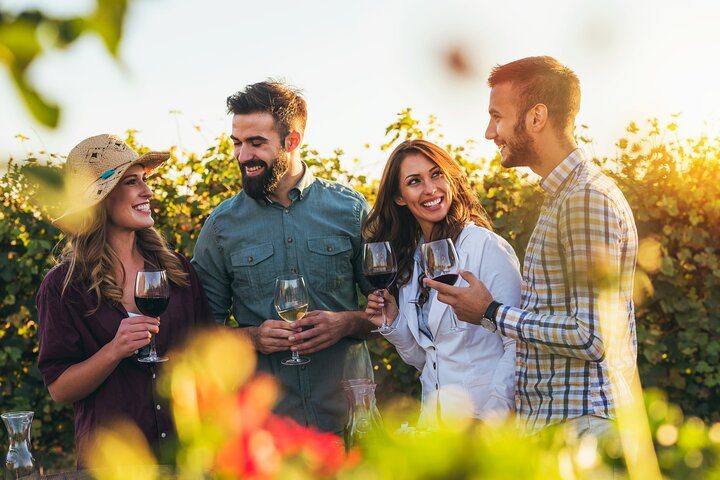 Alsace Wine Odyssey: Full-Day Private Tour from Strasbourg rCDkLnGh