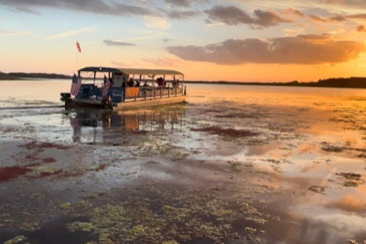 Eco Adventure Scenic Wildlife Boat Cruise OGA2rirq