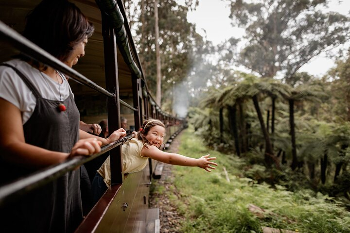 Melbourne Puffing Billy Train and Penguin Parade Day Tour Escape vLjWIiv5