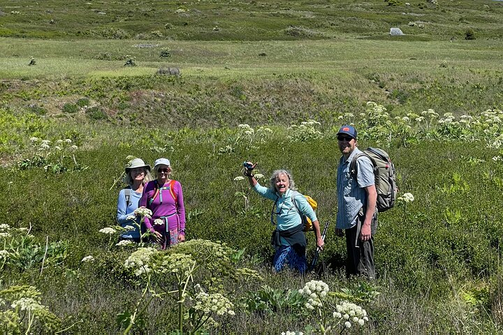 Scenic Coast and Wildlife Tour yosYifw2