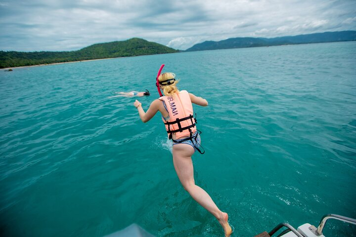 Pink Dolphin and Pig Island Snorkeling Tour from Koh Samui HNWybRls