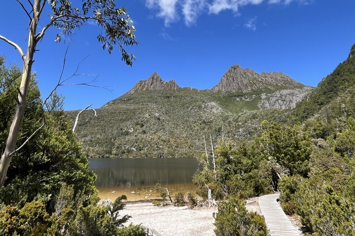 Cradle Mountain Day Tour: Dove Lake Guided Hike with Lunch p8gqDR8g