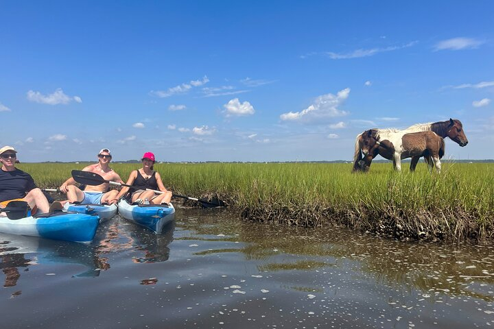 Single Sit on Top Kayak Rental at Assateague Island, MD XLHSu7nU