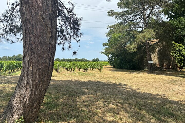 A Night in Chardonnay mJQon3gW