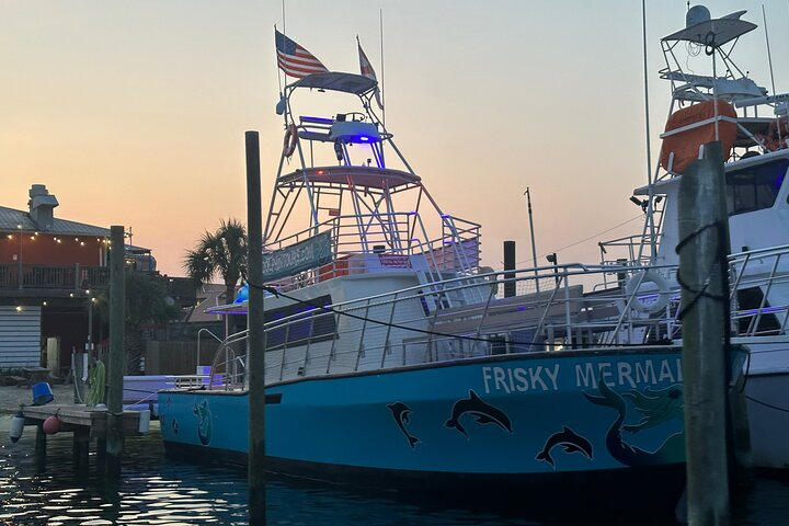 Frisky Mermaid Public Dolphin + Sightseeing Cruise Up to 49 Pax FsuhWvTF