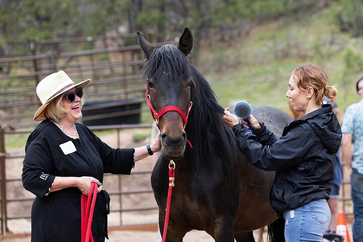 Wild Mustang Experience Near Colorado Springs 0ThbWh1p