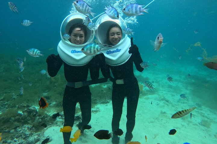 Underwater SeaWalker Experience Ishigaki Island  Zz2vP1Fh