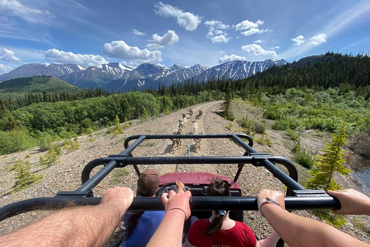 Step Into the Yukon and Sled Dog Tour l19lZbQ4