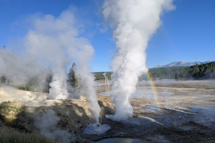Full-Day Yellowstone Upper (Northern) Loop Tour WjmUkjcm