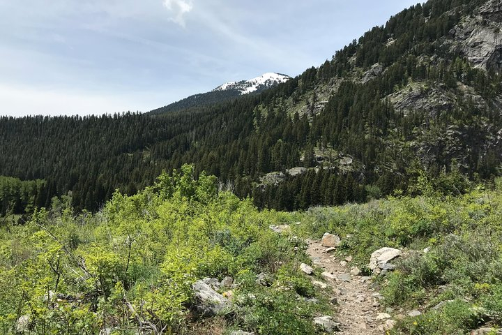  4-Day Small Group Tour: Yellowstone and Tetons Camping from Salt Lake City Hywjy3xJ