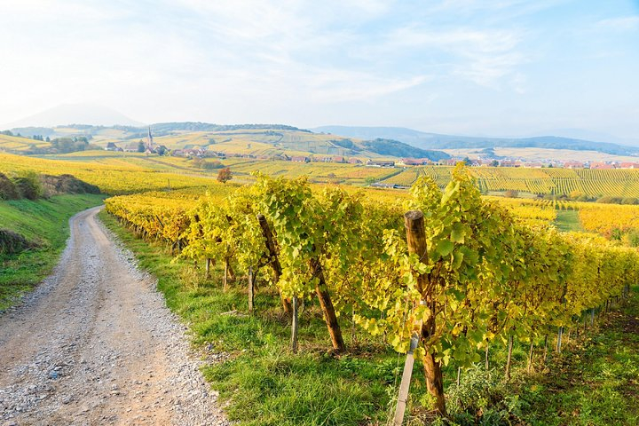 Alsace Local Villages Small Group Guided Tour from Strasbourg QItrVPr6