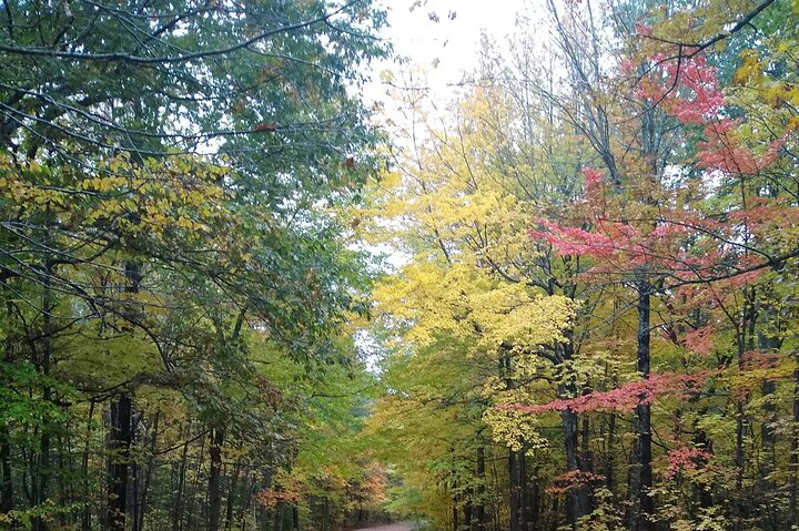 Autumn in Acadia National Park Private Leaf Peeper Driving Tour  fQ5QekPE