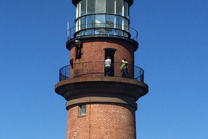  Best of Martha's Vineyard 3 hour Full-Island Tour yNtRbnGr