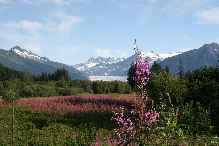 Juneau City Tour s0apv5XE