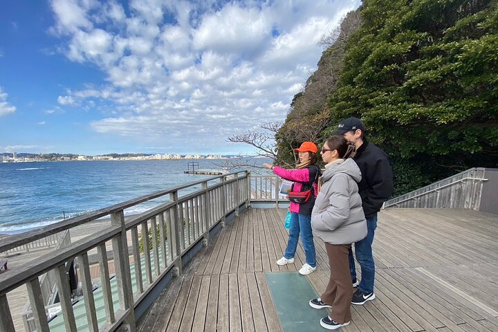 Yokosuka Adventure: Explore Uninhabited Island & Naval Cruise zKIXlV0X