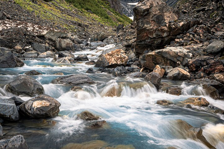 Glacier View & Wildlife Anchorage Adventure Tour TcDW40Kl