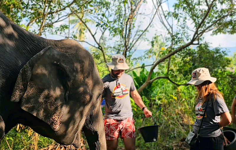 Elephant World Samui Experience Se4wIp5E