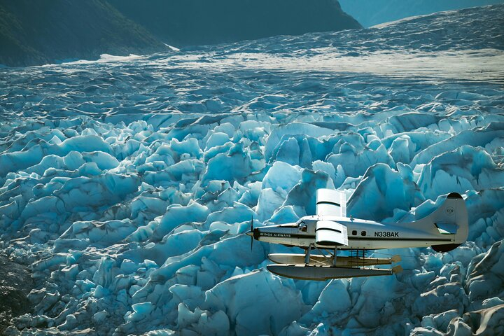 Taku Lodge Feast & 5-Glacier Seaplane Discovery LRQbv9Im
