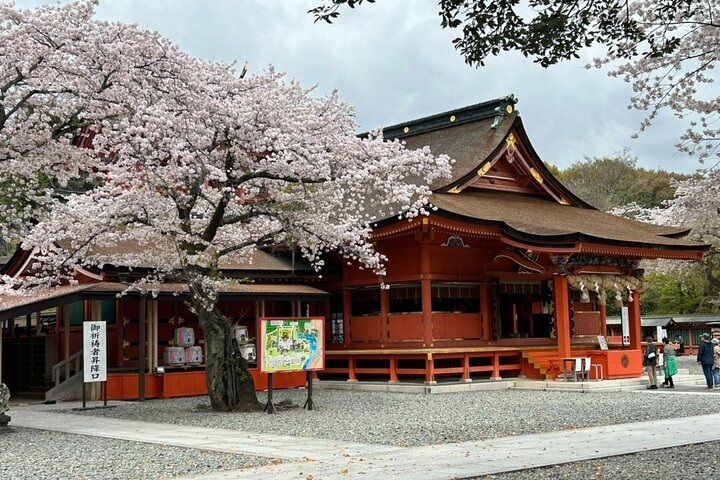 Mt. Fuji Area Private Tour from Shizuoka Station / Sedan Taxi vNU98Leg
