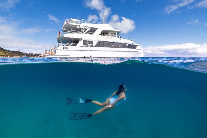 Dolphin & Tangalooma Wrecks Snorkel Cruise & Lunch - Gold Coast  gIpLjICx