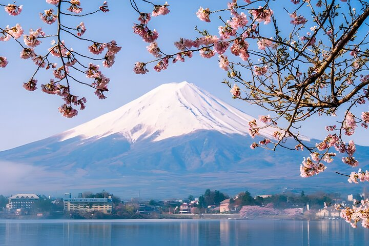 Tokyo Mt Fuji Trip with Kawaguchiko Ropeway and Matcha Tea 4mJD87GB