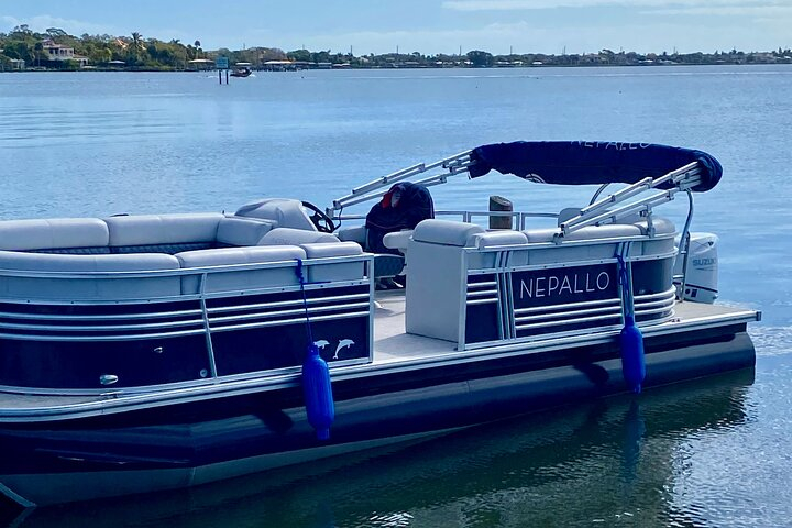 2 Hr Dolphin & Manatee River Cruise . Melbourne, Cocoa Beach,Fl.  YdZ1wzvh
