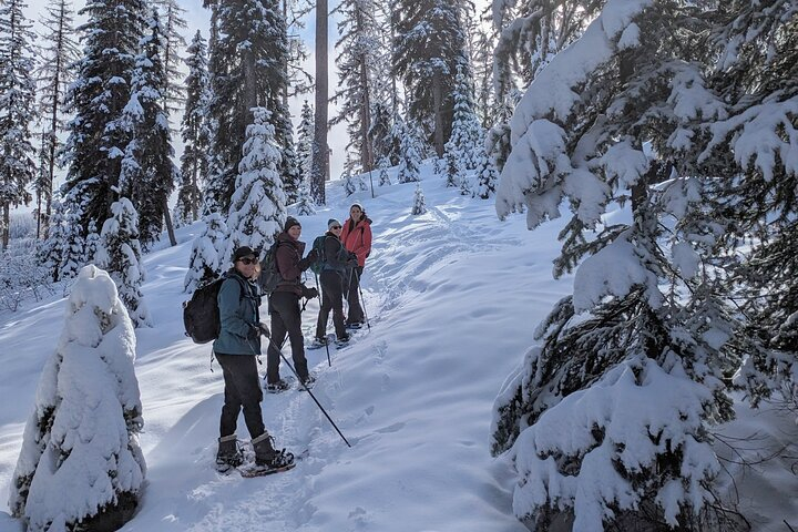 Leisurely Snowshoeing through the Bitterroot Mountains REMCpApe