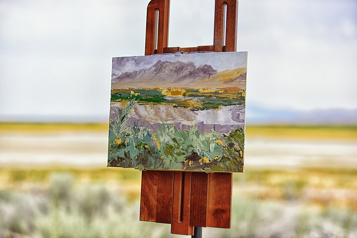 Antelope Island Sunset Wildlife Expedition Great Salt Lake Tour YBDwFLYD