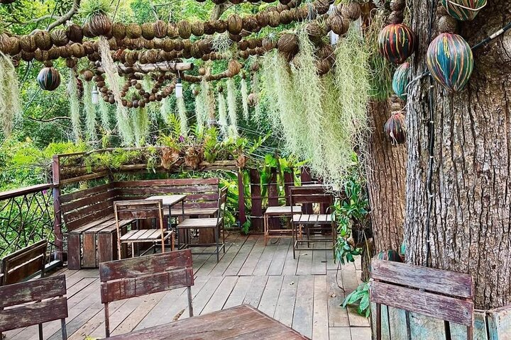 Samui Zipline FLY & Fun Tree Bridge Jungle Cafe & Waterfall TLznRDuB
