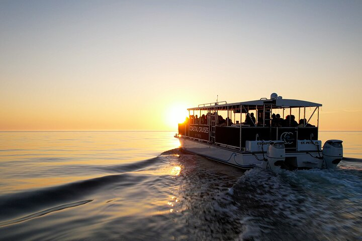 St. Pete Dolphin Watching and Island Sunset Cruise zN6HhyCu