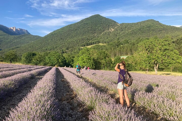 Family hike in the Champs DE Lavender du Vercors u0hS9HqN