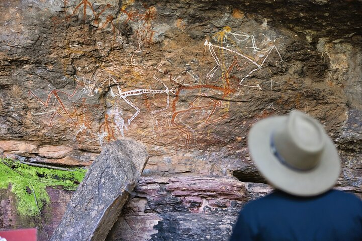 Kakadu Wildlife Escape Fogg Dam or Crocodile Cruise from Darwin PMZUC1Hx