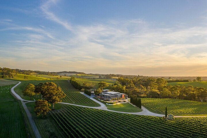 From Phoenix Private Vortex to Vineyard Tour q4rFcMz4