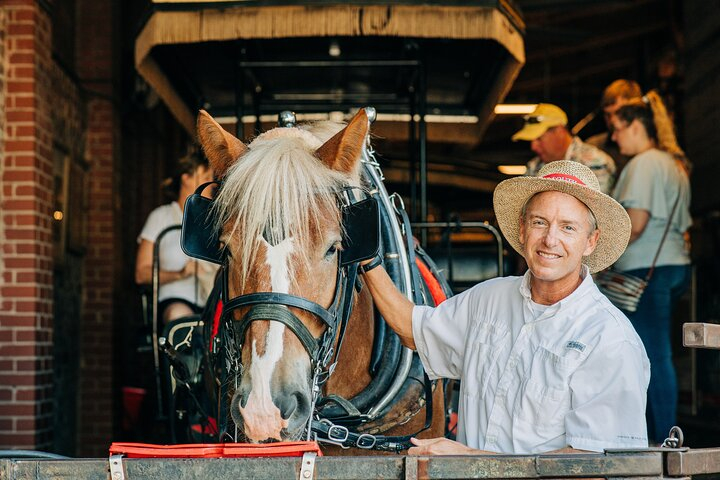 Charleston’s Old South Carriage Historic Horse & Carriage Tour qpscq8QJ