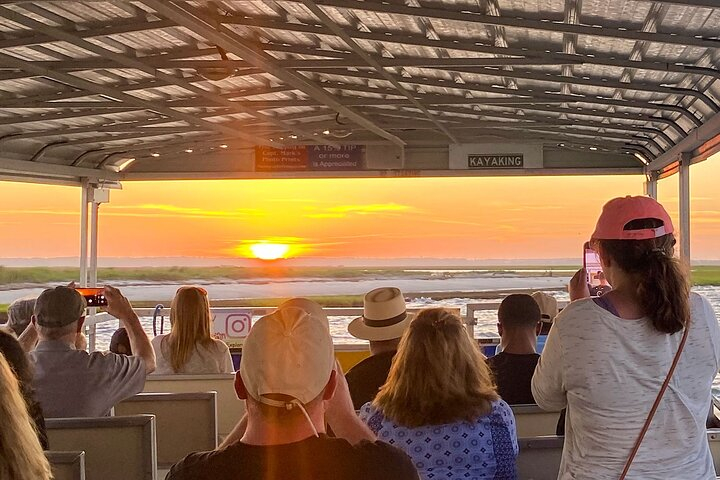 Sunset Wildlife Cruise along Assateague & Chincoteague Island B3sYdaWx