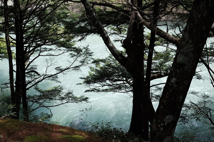 Kamikochi Private Summer Escape: Meet Wildlife in Pristine Nature EYUcHK0x