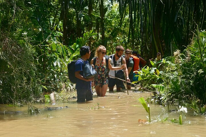 3 Days 2 Nights Siberut Jungle Trekking Mentawai Experience hhhxt2qr