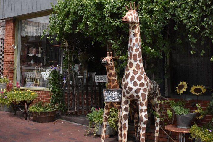Senoia The Walking Dead Film locations 2 hours Walking Tour NQenUeSh
