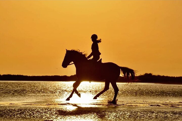 Horse Riding in Manavgat Side Forest and Beach JLgqBVGD